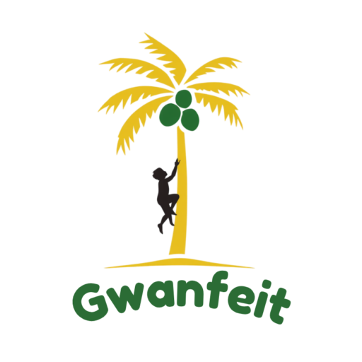 gwanfeit.com